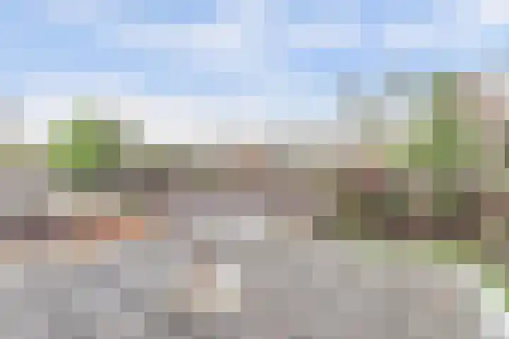 Lijsterlaan 63 Ermelo thumbnail 32