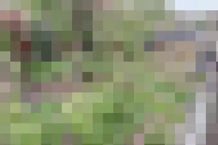 Lijsterlaan 63 Ermelo thumbnail 34
