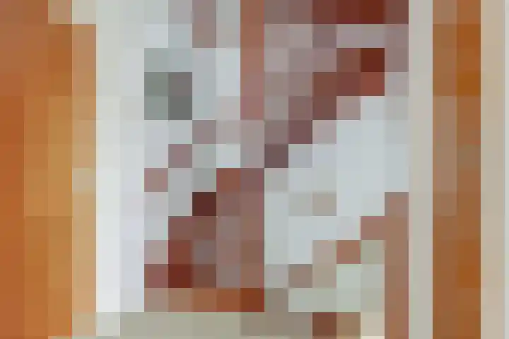 Lijsterlaan 63 Ermelo thumbnail 35