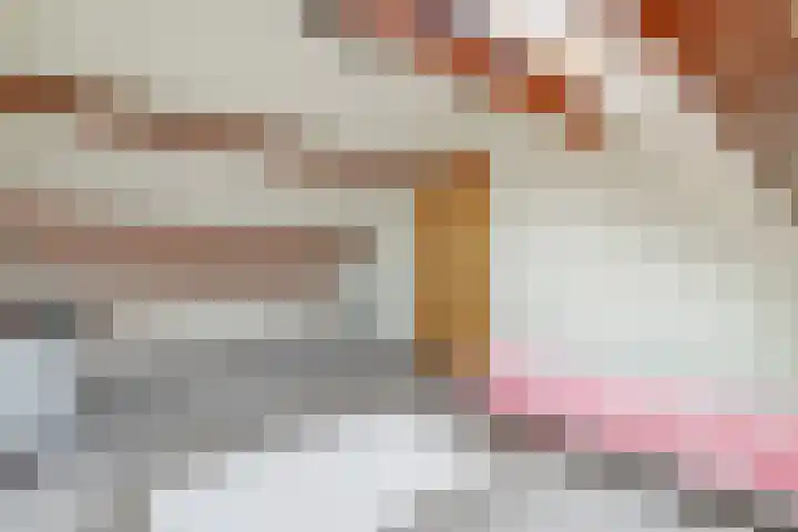 Lijsterlaan 63 Ermelo thumbnail 40