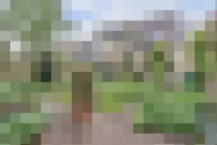 Lijsterlaan 63 Ermelo thumbnail 42