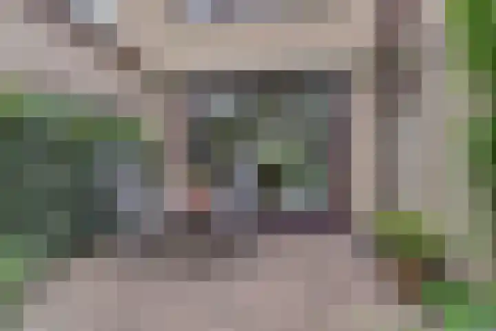 Lijsterlaan 63 Ermelo thumbnail 43