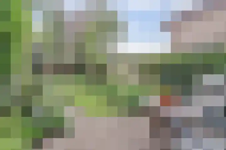 Lijsterlaan 63 Ermelo thumbnail 44