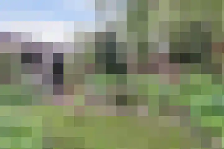 Lijsterlaan 63 Ermelo thumbnail 45