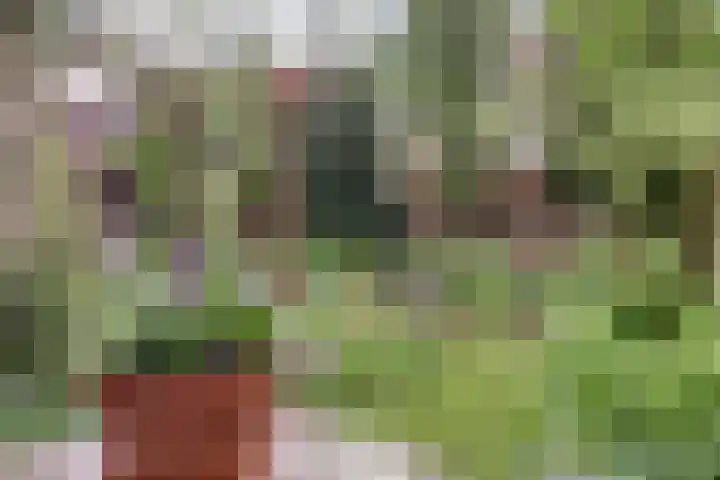 Lijsterlaan 63 Ermelo thumbnail 46