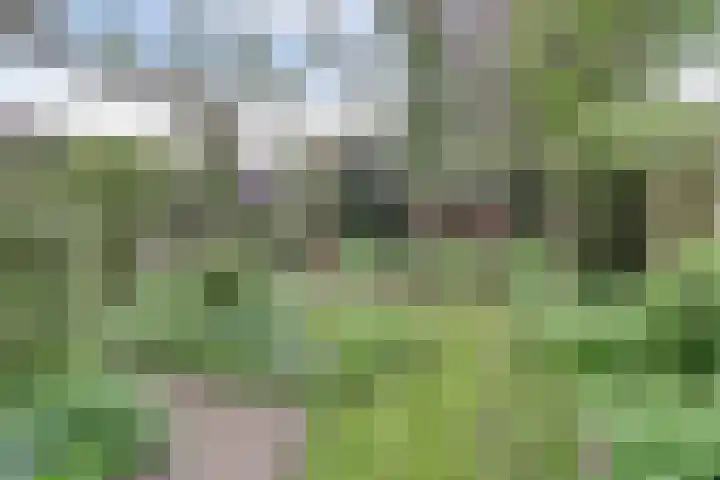 Lijsterlaan 63 Ermelo thumbnail 47