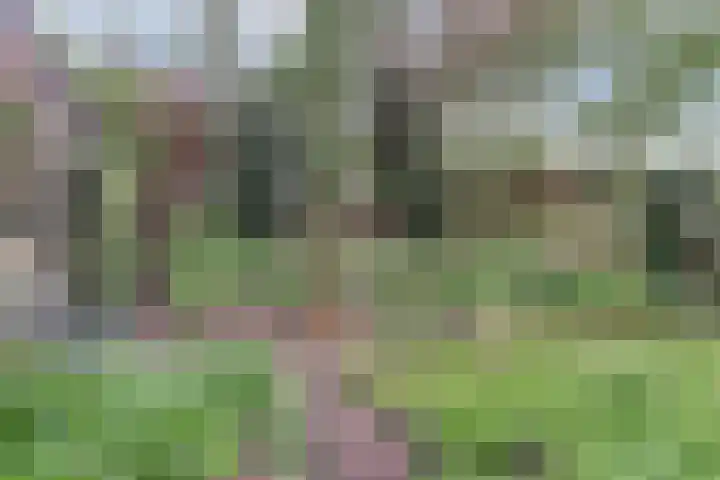 Lijsterlaan 63 Ermelo thumbnail 48