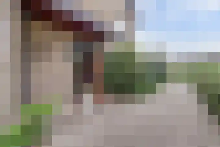 Lijsterlaan 63 Ermelo thumbnail 49