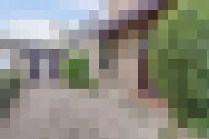 Lijsterlaan 63 Ermelo thumbnail 50