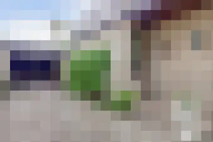 Lijsterlaan 63 Ermelo thumbnail 51