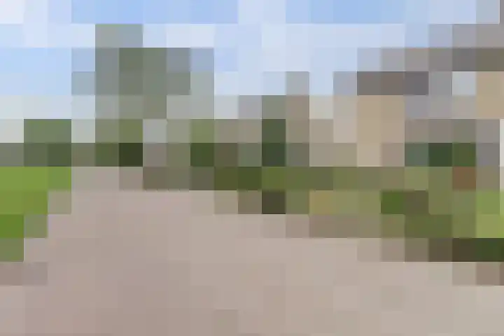 Lijsterlaan 63 Ermelo thumbnail 52
