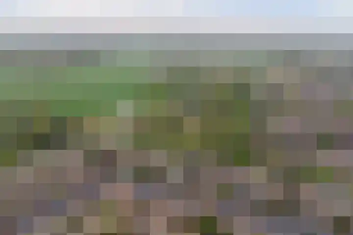 Lijsterlaan 63 Ermelo thumbnail 55