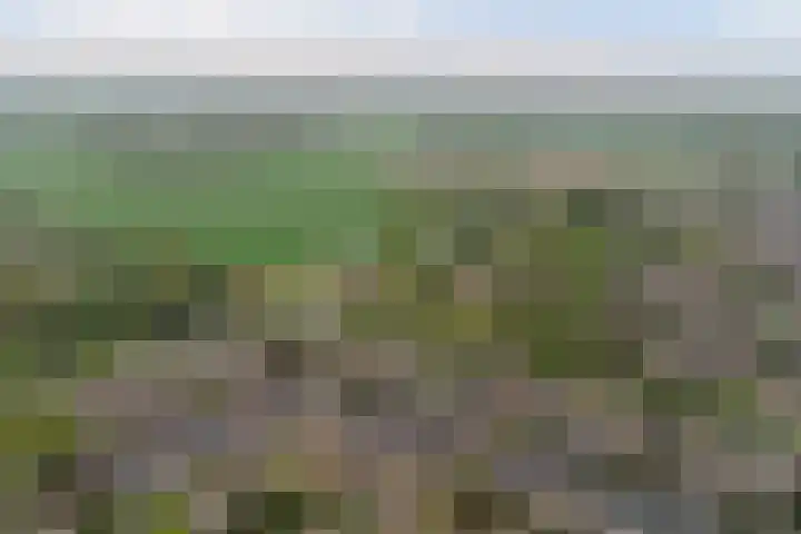 Lijsterlaan 63 Ermelo thumbnail 56