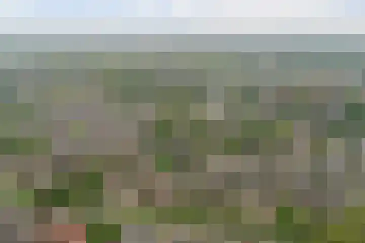 Lijsterlaan 63 Ermelo thumbnail 57