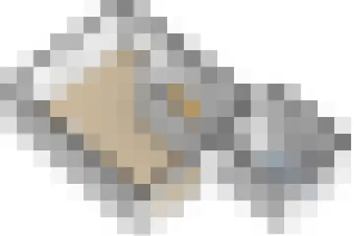 Lijsterlaan 63 Ermelo thumbnail 64