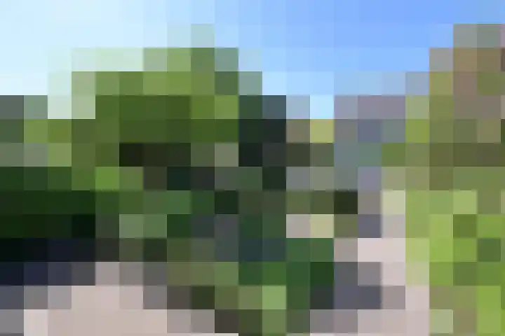Lijsterlaan 66 Bussum thumbnail 14