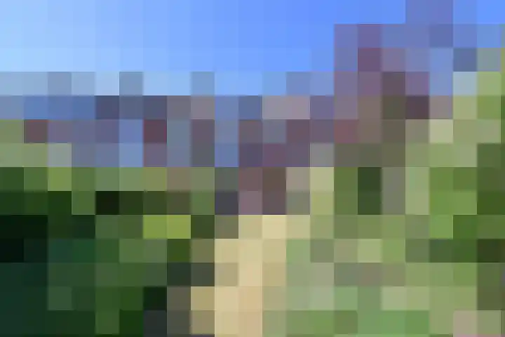 Lijsterlaan 66 Bussum thumbnail 15