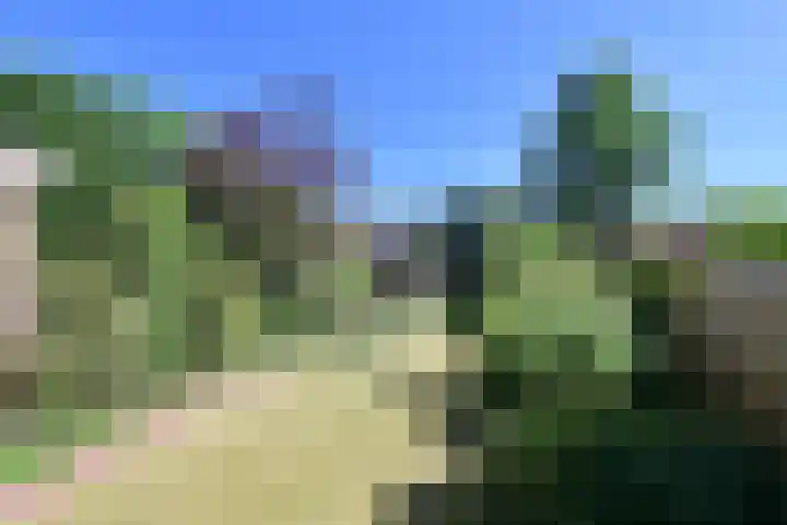 Lijsterlaan 66 Bussum thumbnail 16