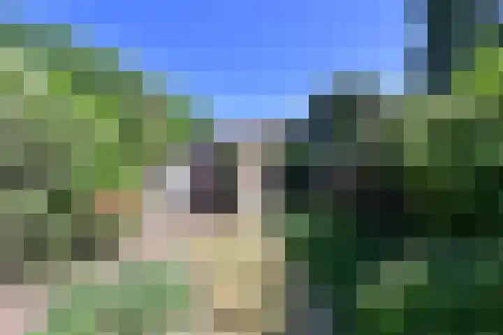 Lijsterlaan 66 Bussum thumbnail 17