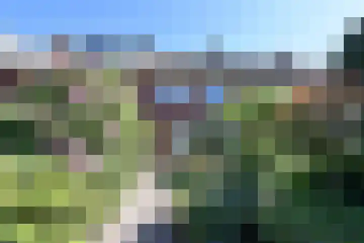 Lijsterlaan 66 Bussum thumbnail 22