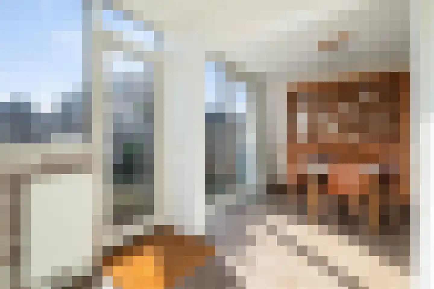 Lijsterlaan 68 Alphen aan den Rijn thumbnail 16
