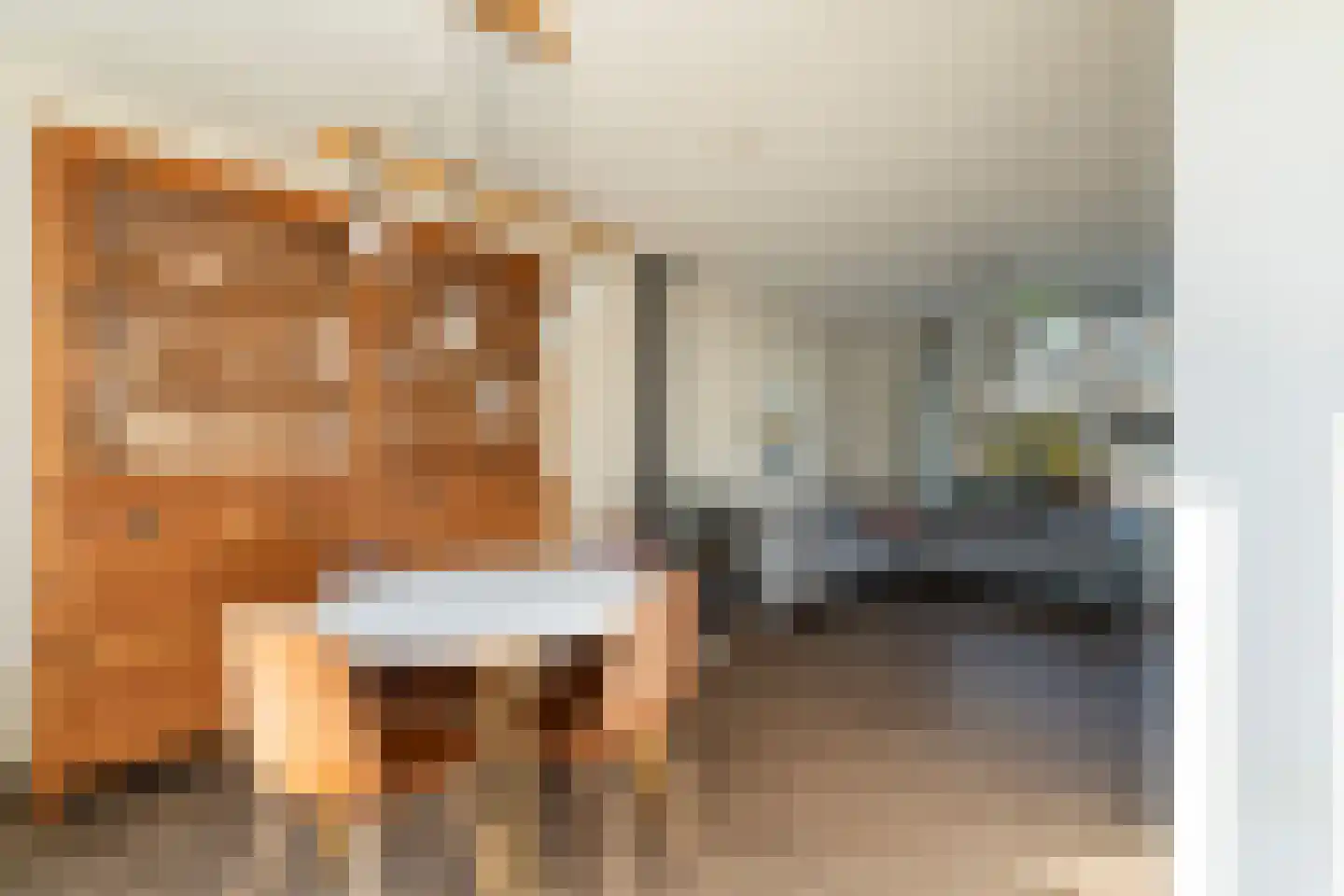 Lijsterlaan 68 Alphen aan den Rijn thumbnail 20