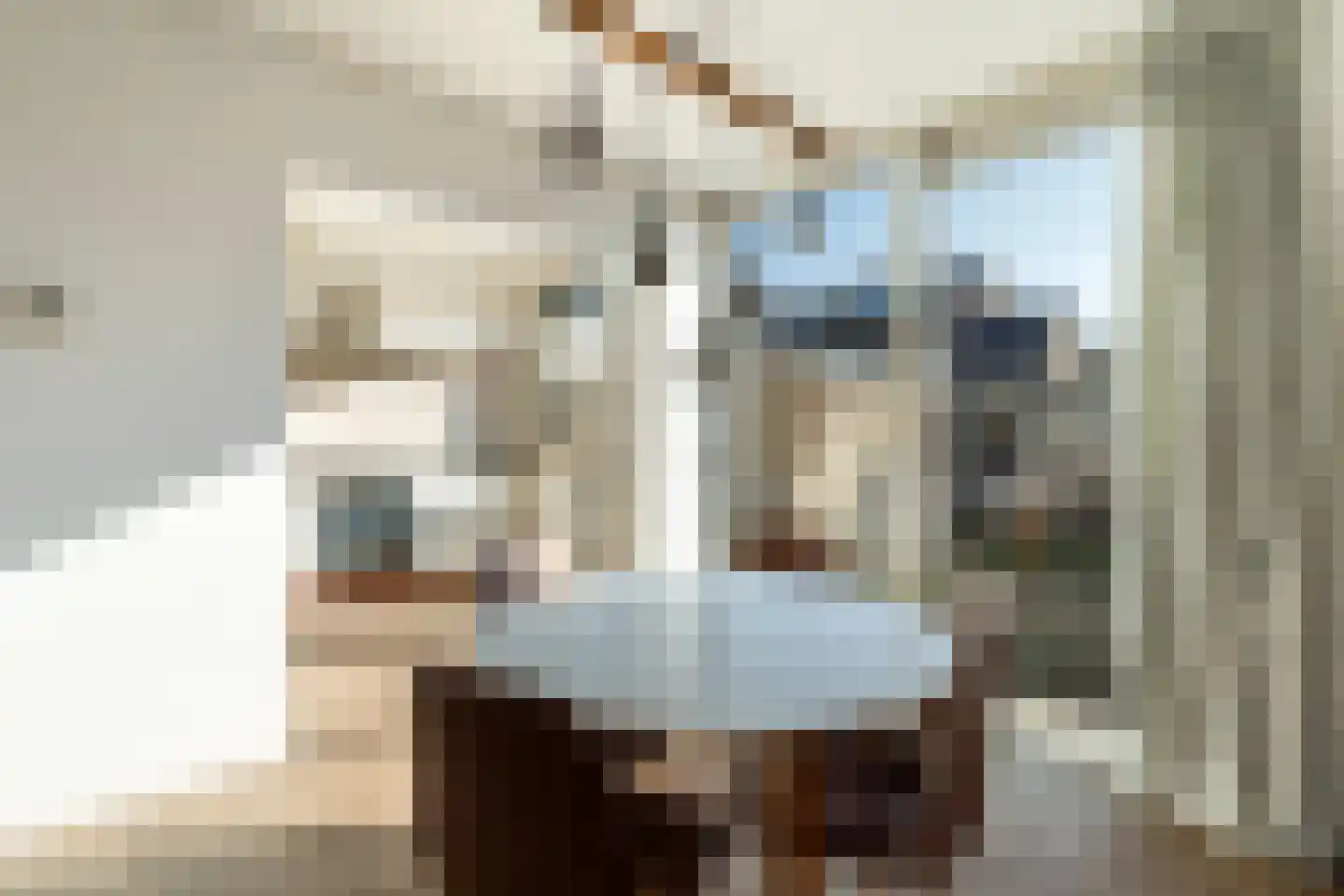 Lijsterlaan 68 Alphen aan den Rijn thumbnail 23