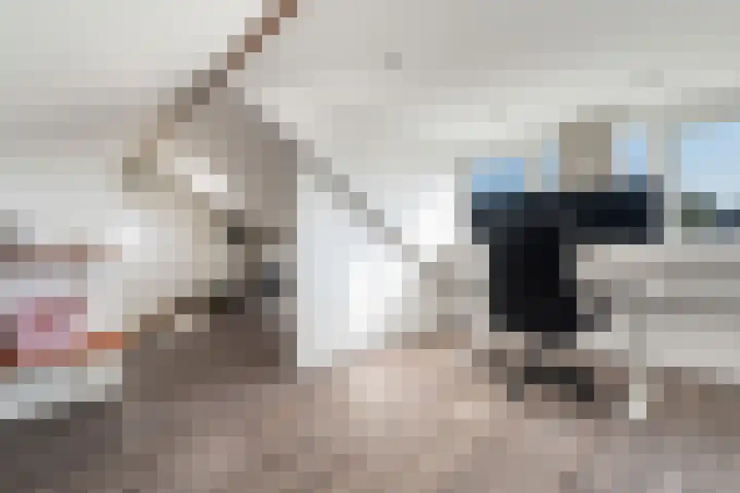 Lijsterlaan 68 Alphen aan den Rijn thumbnail 46