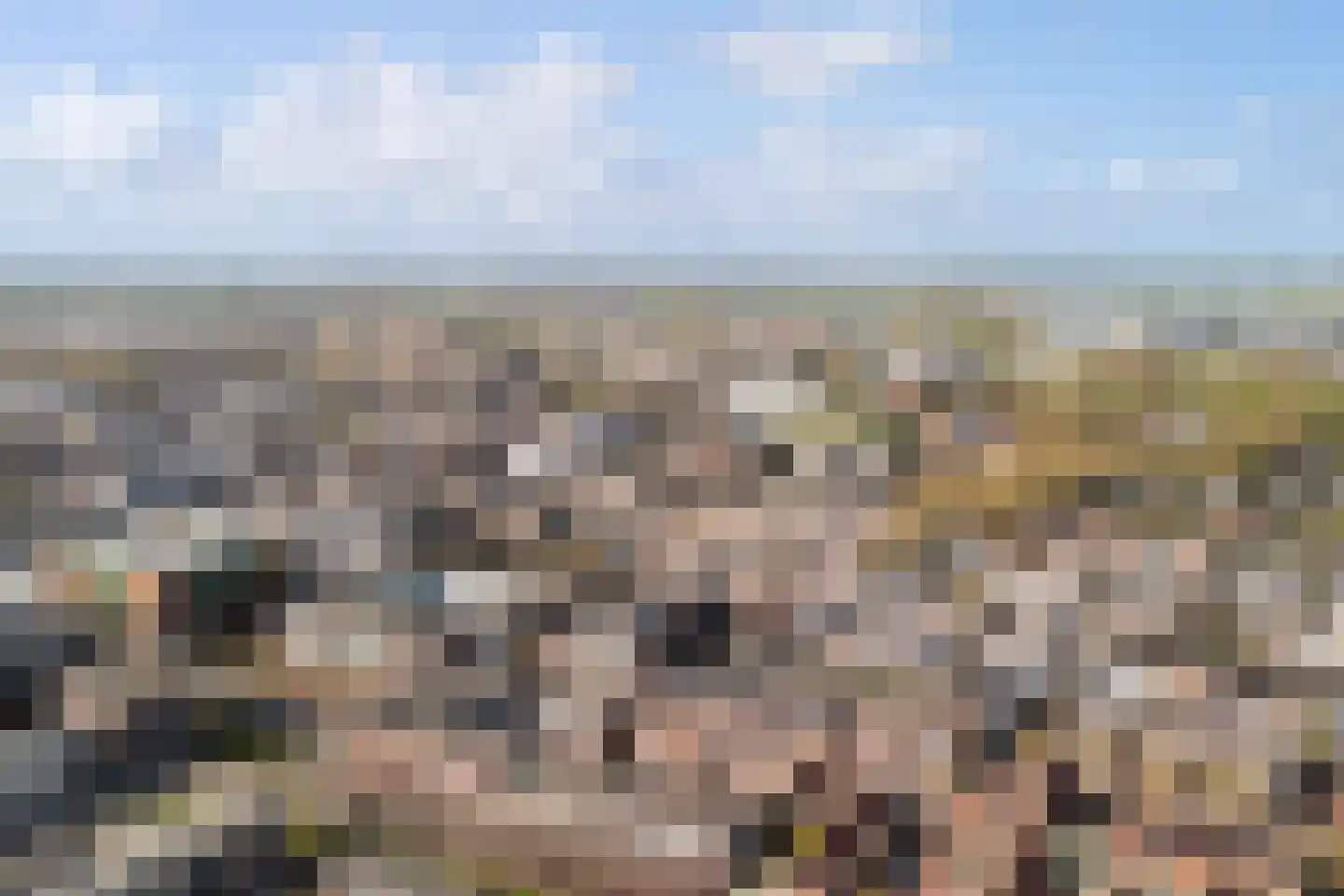 Lijsterlaan 68 Alphen aan den Rijn thumbnail 48