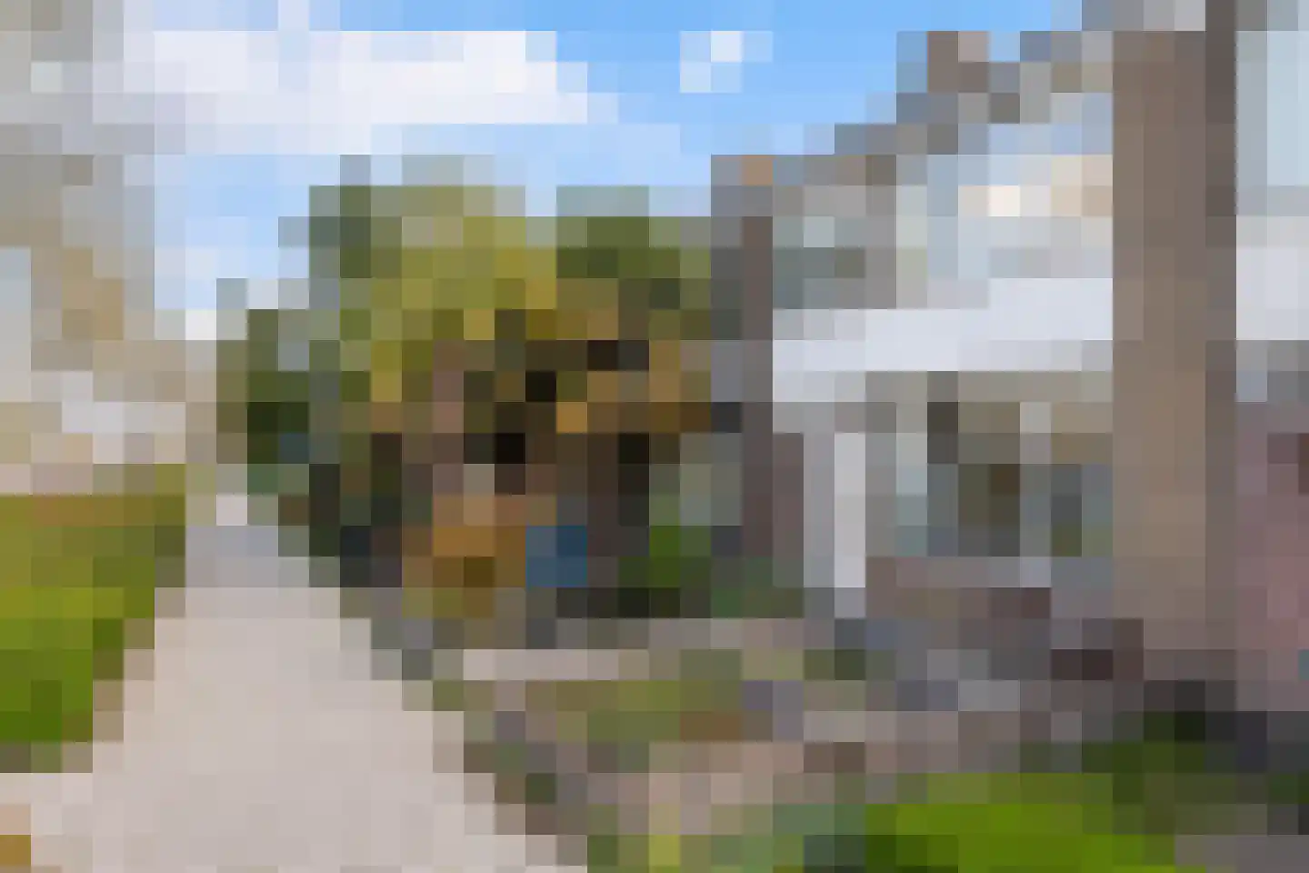 Lijsterlaan 68 Alphen aan den Rijn thumbnail 6