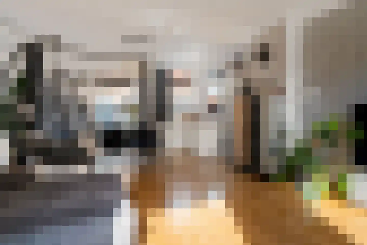 Lijsterlaan 7 Oss thumbnail 11