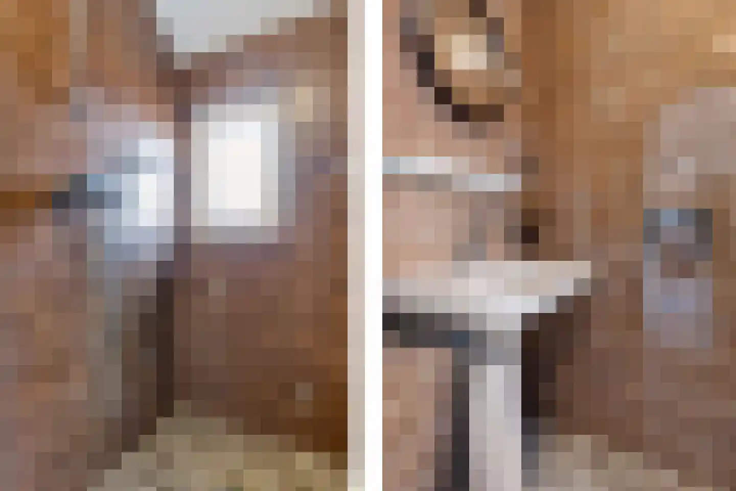 Lijsterlaan 7 Oss thumbnail 19