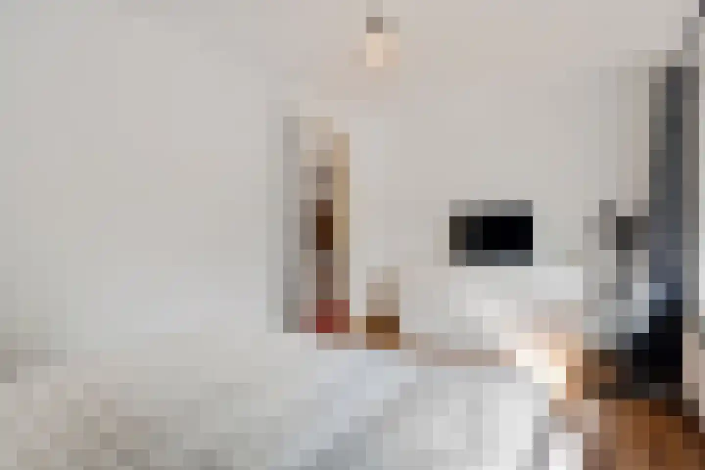 Lijsterlaan 7 Oss thumbnail 25