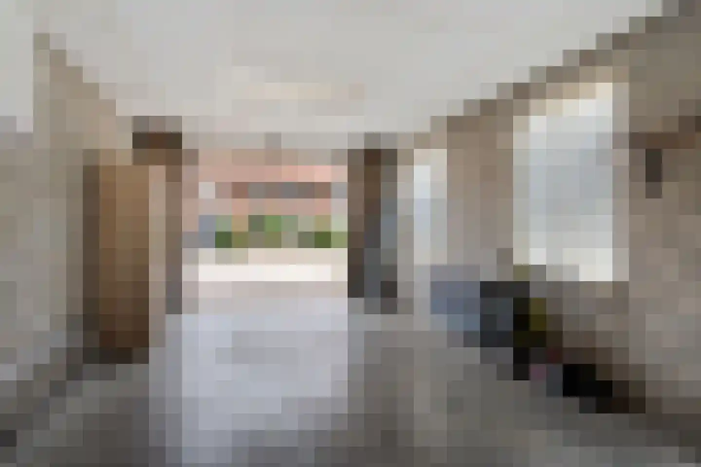 Lijsterlaan 7 Oss thumbnail 33