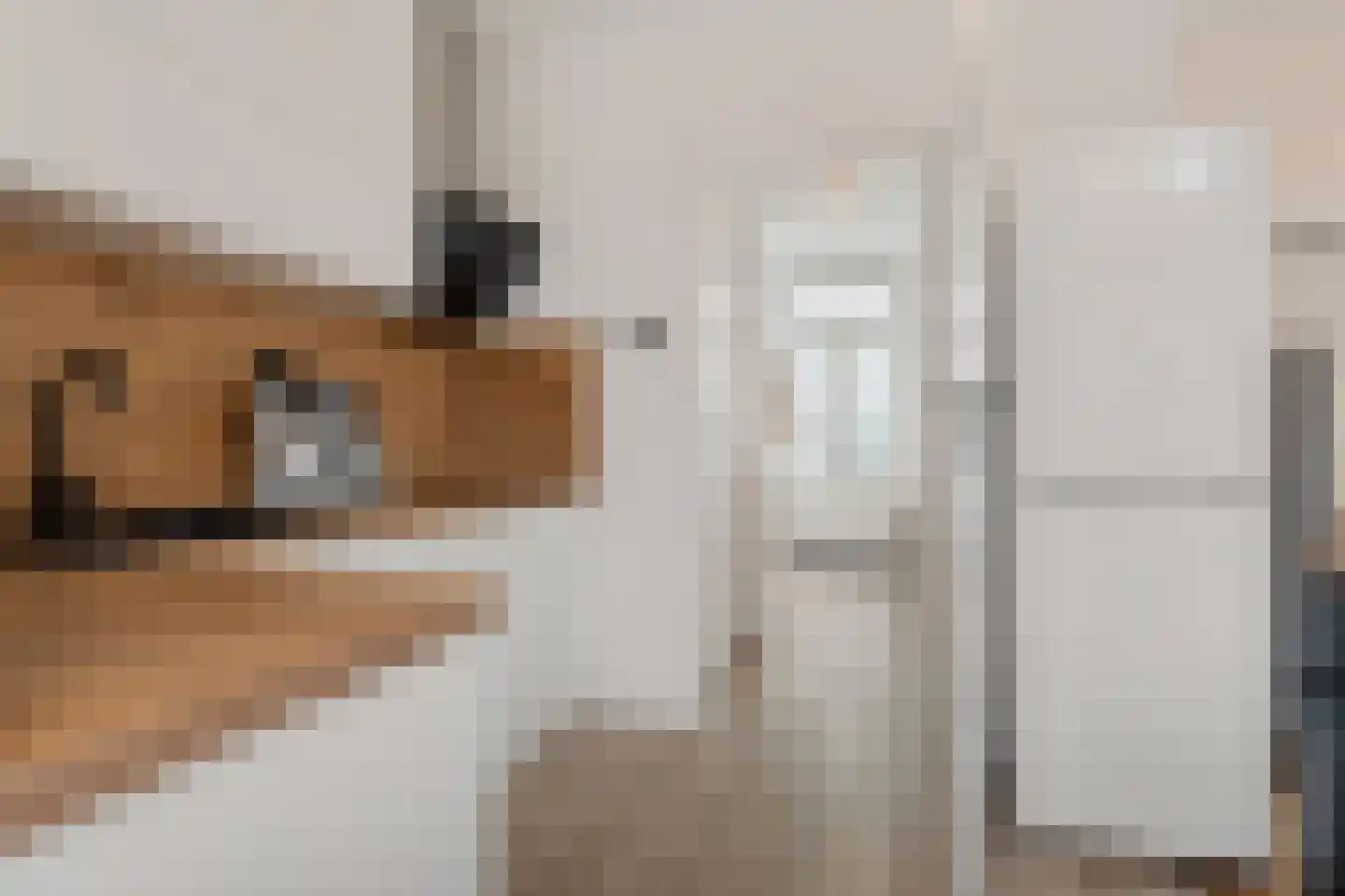 Lijsterlaan 7 Oss thumbnail 8