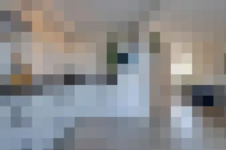Lijsterlaan 8 Beilen thumbnail 13