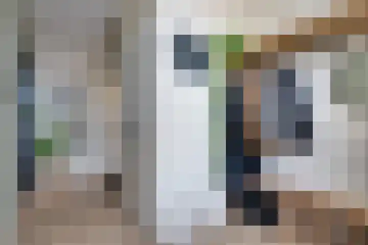 Lijsterlaan 8 Beilen thumbnail 18