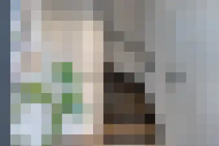 Lijsterlaan 8 Beilen thumbnail 20