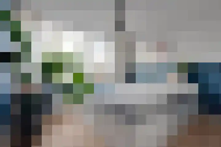 Lijsterlaan 8 Beilen thumbnail 22