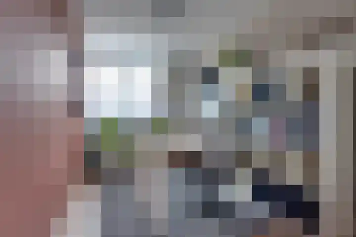 Lijsterlaan 8 Beilen thumbnail 25
