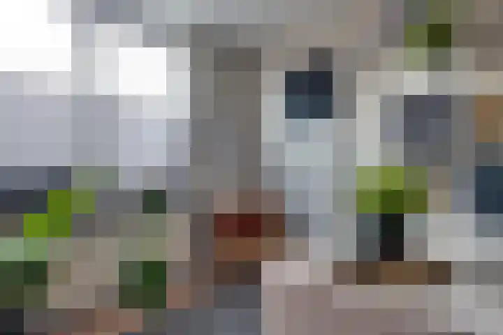 Lijsterlaan 8 Beilen thumbnail 26