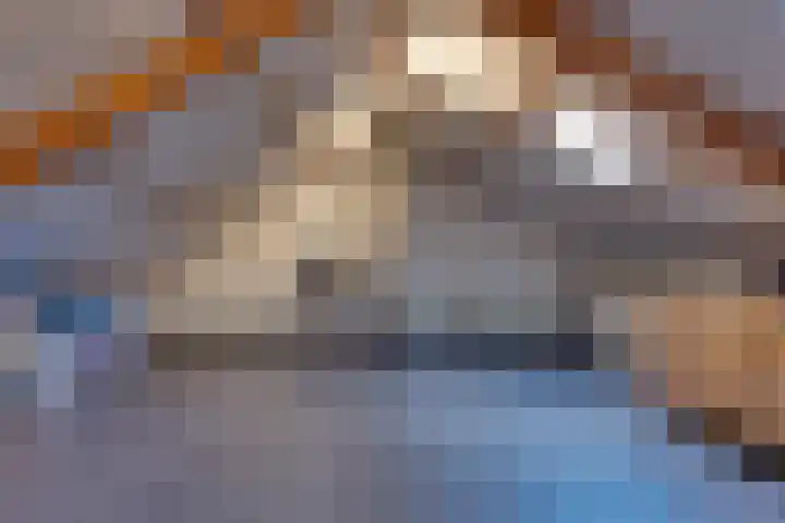 Lijsterlaan 8 Beilen thumbnail 32