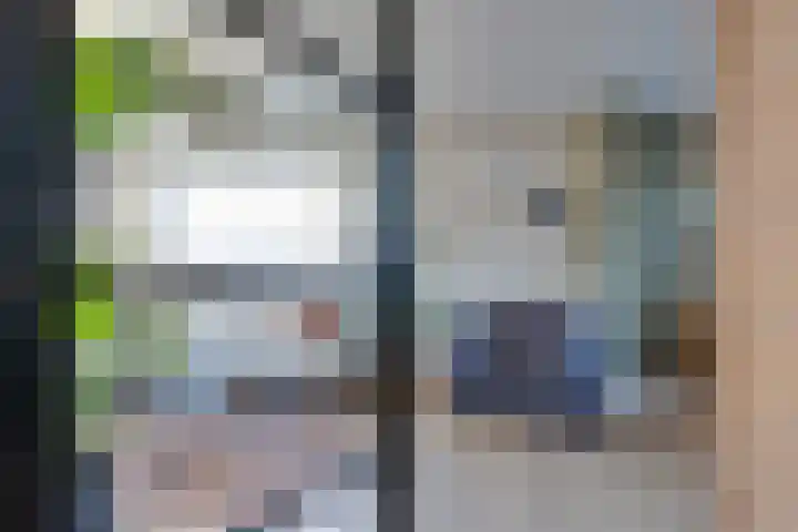 Lijsterlaan 8 Beilen thumbnail 4