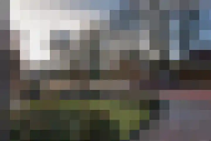 Lijsterlaan 8 Beilen thumbnail 40