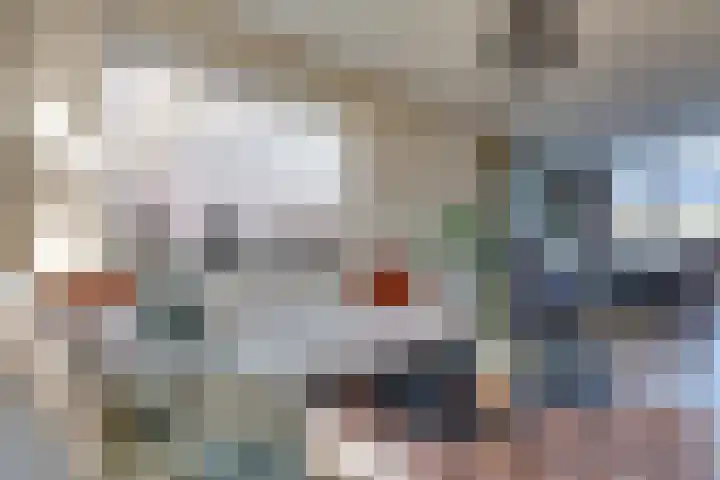 Lijsterlaan 8 Beilen thumbnail 8