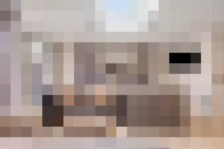 Lijsterlaan 82 Beek en Donk thumbnail 10