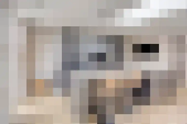 Lijsterlaan 82 Beek en Donk thumbnail 11