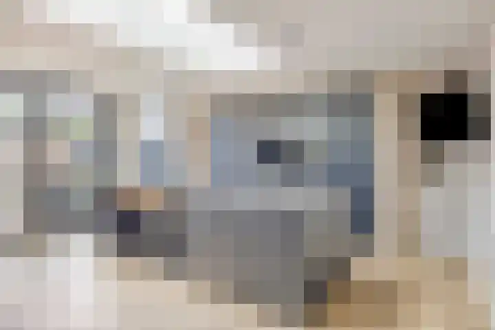 Lijsterlaan 82 Beek en Donk thumbnail 12