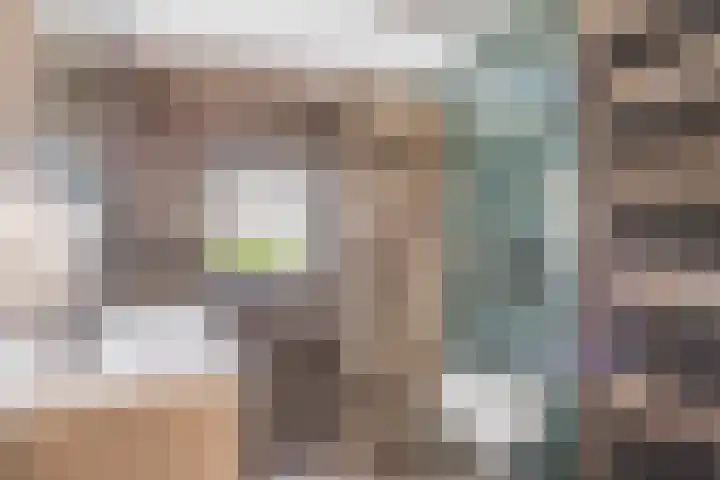 Lijsterlaan 82 Beek en Donk thumbnail 16