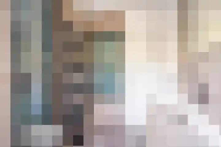 Lijsterlaan 82 Beek en Donk thumbnail 17